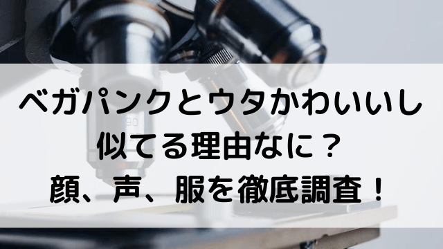 ベガパンクとウタかわいいし似てる理由なに 顔 声 服を徹底調査 いしをブログ ベガパンクとウタかわいいし似てる理由なに 顔 声 服を徹底調査 いしをブログ